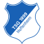 Hoffenheim logo